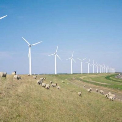 Monsson investeşte 250 mil. euro. în parcul eolian Pantelimon